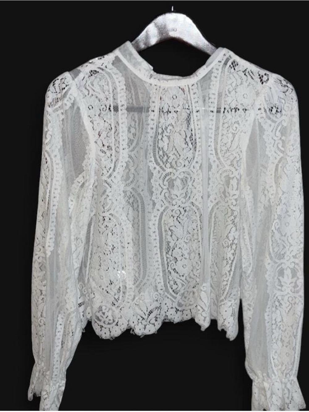 Sheer lacy long sleeve top 🤠